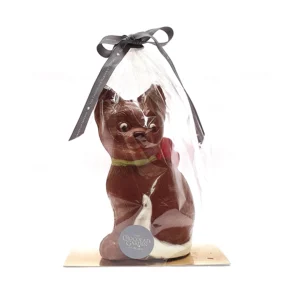 Large Chocolate Cat Wrapped